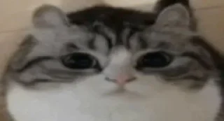 Sticker Больше стиков тут: @stikery4 - 7