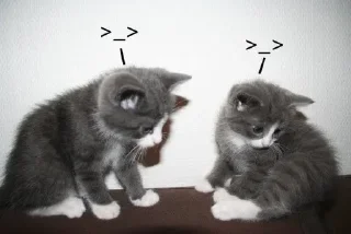 Sticker Больше стиков тут: @stikery4 - 6