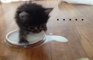 Sticker Больше стиков тут: @stikery4 - 10