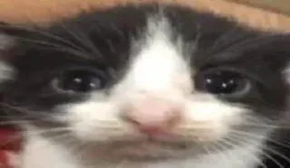 Sticker Больше стиков тут: @stikery4 - 3