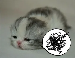 Sticker Больше стиков тут: @stikery4 - 5