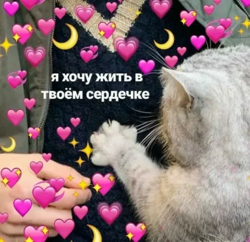 Стикер sKmhAlepwd_by_WmojiBot - 1