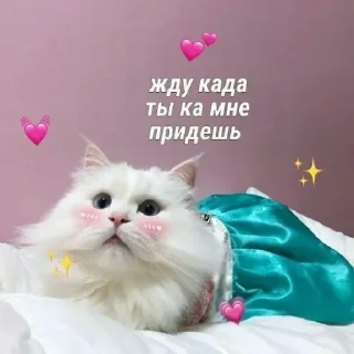 Sticker Стикеры тут 👉 @Femoji - 6