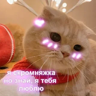Sticker Стикеры тут 👉 @Femoji - 5