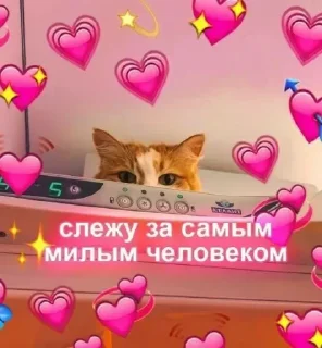 Sticker Стикеры тут 👉 @Femoji - 1