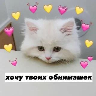 Sticker Стикеры тут 👉 @Femoji - 7