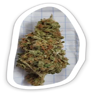 Sticker ЗапретныйПлод - 8