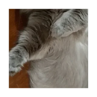 Sticker Больше стиков тут: @stikery4 - 5