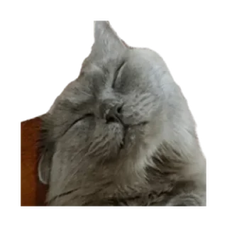 Sticker Больше стиков тут: @stikery4 - 2