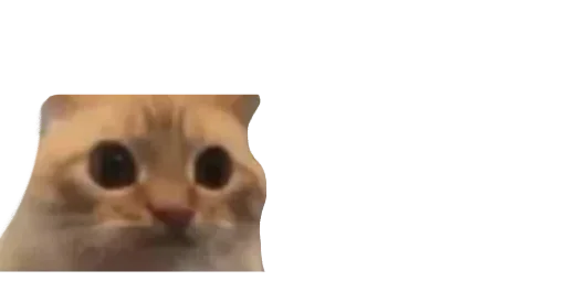 Sticker sPCfCNAN_by_stickers_stealer_bot - 1