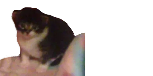 Sticker sPCfCNAN_by_stickers_stealer_bot - 1