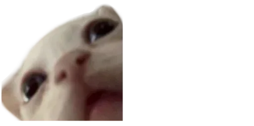 Sticker sPCfCNAN_by_stickers_stealer_bot - 1