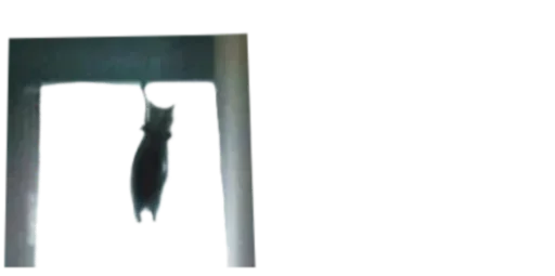 Создай свои стикеры - @sozdsti_bot - 