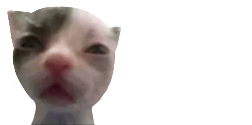 Sticker sPCfCNAN_by_stickers_stealer_bot - 1