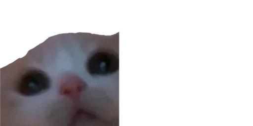 Sticker sPCfCNAN_by_stickers_stealer_bot - 1