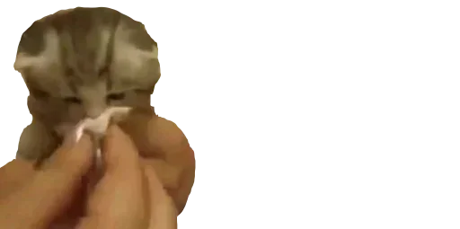 Sticker sPCfCNAN_by_stickers_stealer_bot - 1