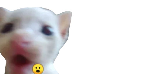 Sticker sPCfCNAN_by_stickers_stealer_bot - 1