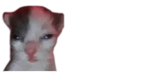 Sticker sPCfCNAN_by_stickers_stealer_bot - 1