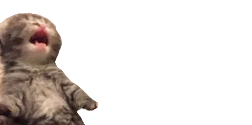 Sticker sPCfCNAN_by_stickers_stealer_bot - 1