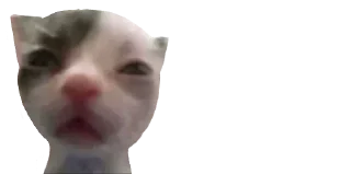 Sticker Создай свои стикеры - @sozdsti_bot - 7