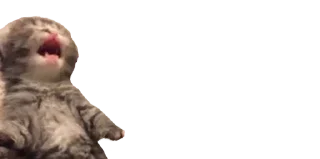 Sticker Создай свои стикеры - @sozdsti_bot - 0