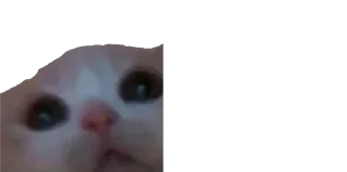 Sticker Создай свои стикеры - @sozdsti_bot - 6