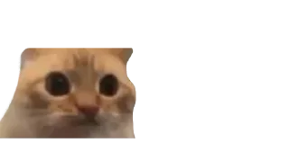 Sticker Создай свои стикеры - @sozdsti_bot - 11