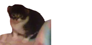 Sticker Создай свои стикеры - @sozdsti_bot - 10