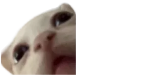 Sticker Создай свои стикеры - @sozdsti_bot - 9