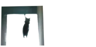 Sticker Создай свои стикеры - @sozdsti_bot - 8