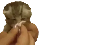 Sticker Создай свои стикеры - @sozdsti_bot - 4