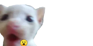 Sticker Создай свои стикеры - @sozdsti_bot - 3