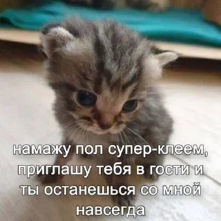 Стикер Больше стиков тут: @stikery4 - 5