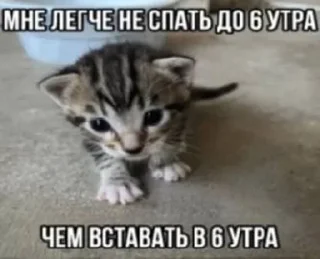 Стикер Больше стиков тут: @stikery4 - 3