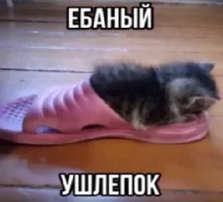 Стикер Больше стиков тут: @stikery4 - 7