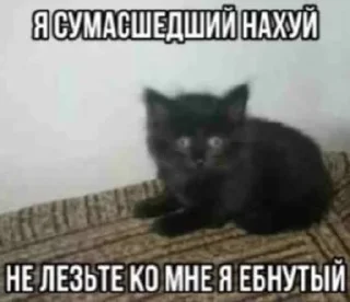 Стикер Больше стиков тут: @stikery4 - 10