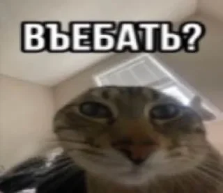 Стикер Больше стиков тут: @stikery4 - 1