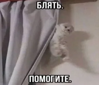 Стикер Больше стиков тут: @stikery4 - 2