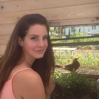 Sticker Больше стиков тут: @stikery4 - 1