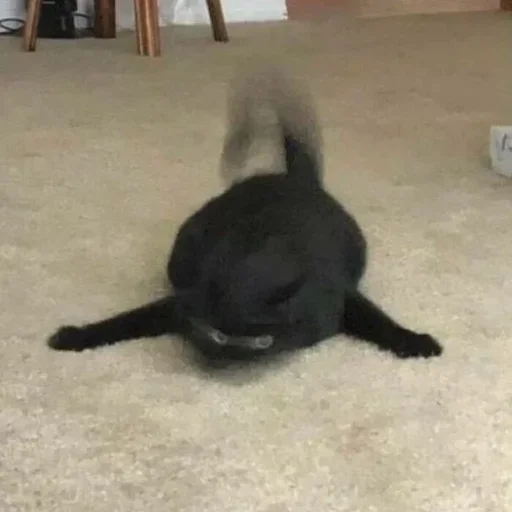 Sticker sVIcNQb_by_achestickbot - 1