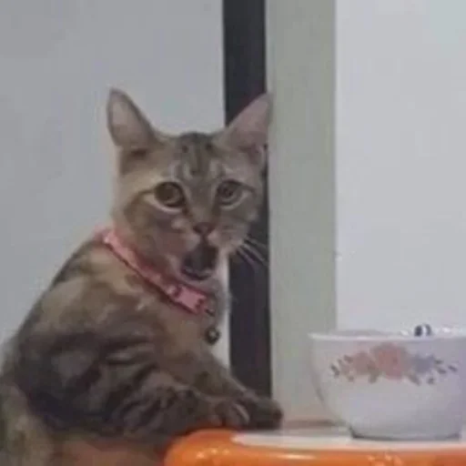 Sticker sVIcNQb_by_achestickbot - 1