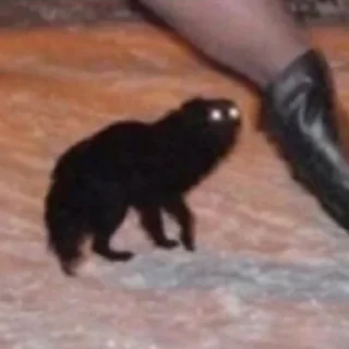 Стикер Больше стиков тут: @stikery4 - 6