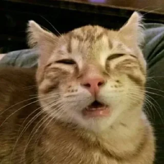 Стикер Больше стиков тут: @stikery4 - 3