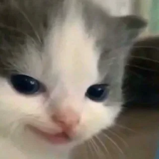 Стикер Больше стиков тут: @stikery4 - 7