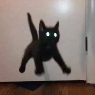 Стикер Больше стиков тут: @stikery4 - 11