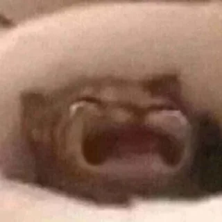 Стикер Больше стиков тут: @stikery4 - 0