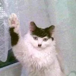 Стикер Больше стиков тут: @stikery4 - 5