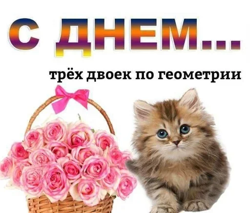 Sticker sXzNiIn_by_achestickbot - 1