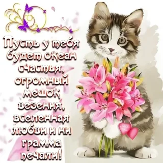 Sticker Больше стиков тут: @stikery4 - 5