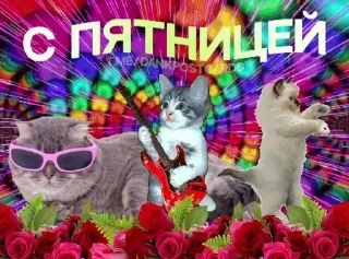 Sticker Больше стиков тут: @stikery4 - 9